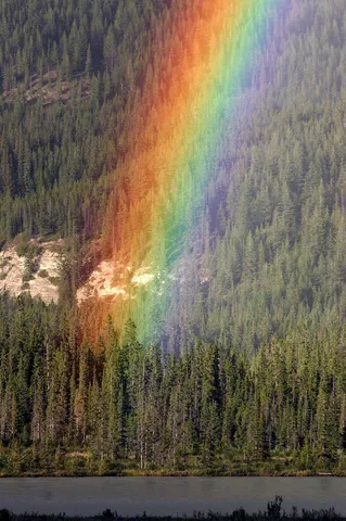 rainbow: a multicoloured arch in the sky, produced by prismatic refraction of light within droplets of rain...