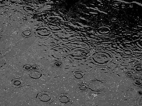 raindrop: a single droplet of rainwater that has just fallen or is falling from the sky