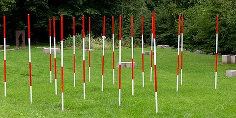 range pole: a rod or pole, marked with alternating red and white bands, used by surveyors for sighting