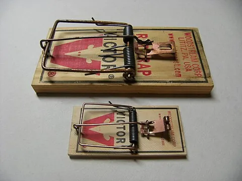 rattrap: a device (trap) used to catch rats