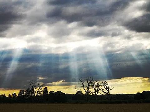 ray: a beam of light or radiation