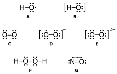 reactive oxygen species: any peroxide, singlet oxygen or similar material that is a reactive oxidizing agent