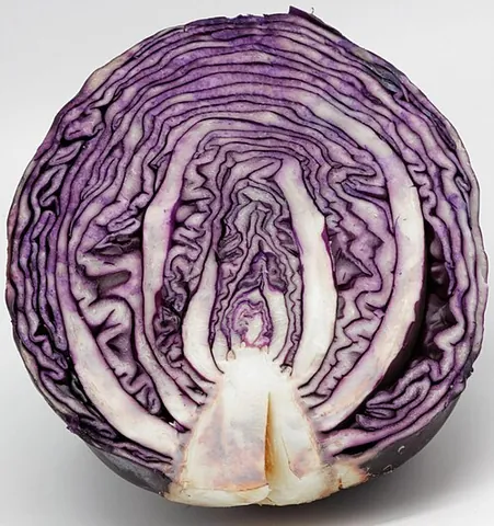 red cabbage: a form of cabbage having red leaves, Brassica oleracea var. capitata f. rubra