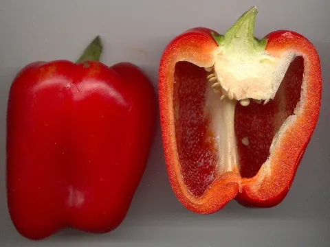 red pepper: a red-colored, ripe, bell or sweet pepper. Unripe peppers of this variety are green and edible but...