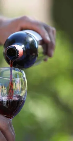 red wine: red-coloured wine made mostly from black grapes, including the skin