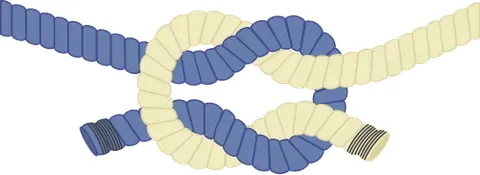 reef knot: a knot used to securely tie two pieces of rope together, or to reef sails