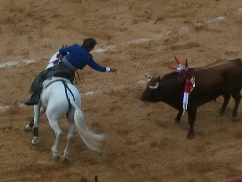 rejoneador: a mounted bullfighter whose task is to provoke the bull