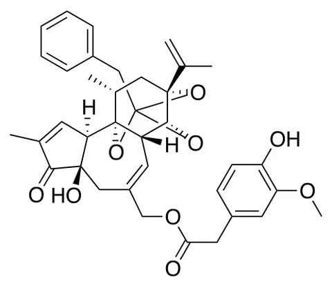 resiniferatoxin: a naturally occurring ultrapotent capsaicin analogue (having in its pure form a Scoville heat unit...