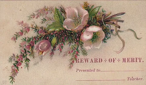 reward card: a card given to a young student in recognition of academic achievement or good behaviour