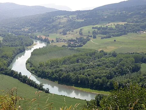 rhodanian: of, or aboriginal to, the Rhône valley