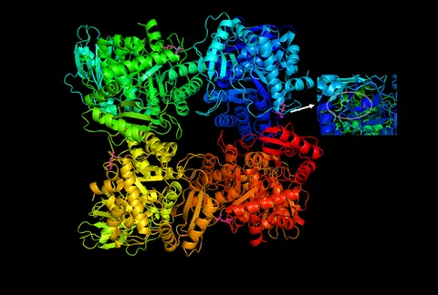 ribulosebisphosphatecarboxylaseoxygenase: the enzyme that allows plants, algae, and some bacteria to capture carbon dioxide from the...