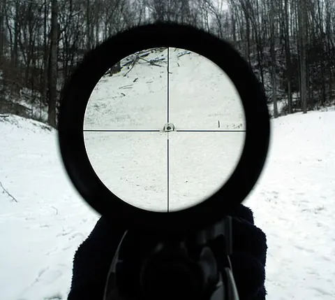riflescope: a telescopic sight for a rifle