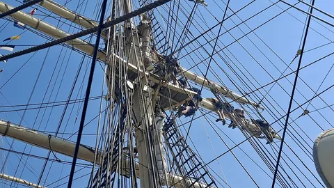 rigging: dress; tackle; especially (nautical), the ropes, chains, etc., that support the masts and spars of...