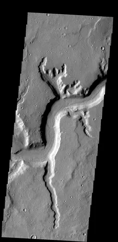 rille: a long, narrow depression that resembles a channel, found on the surface of various lunar and...