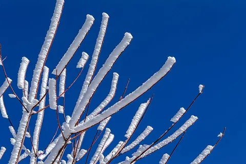 rime: archaic in the form rimes: originally, any frozen dew forming a white deposit on exposed surfaces;...