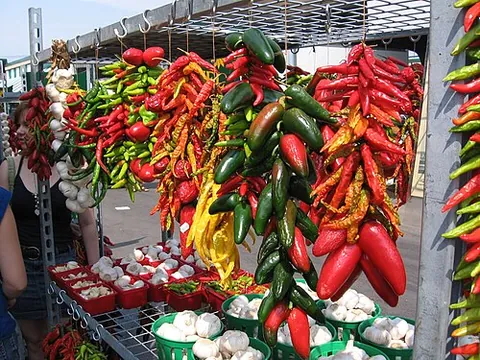 ristra: an arrangement of chili pepper pods (or sometimes garlic) to aid drying and sometimes to serve as a...