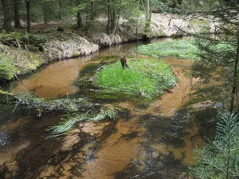 river bottom: the lowest part of a river, where the water meets the ground below