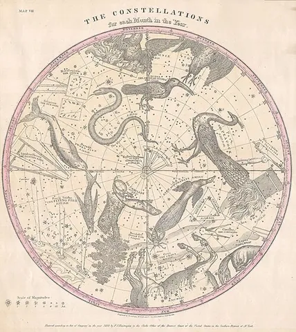 robur carolinum: a former constellation in the Southern Hemisphere now forming parts of Vela and Carina