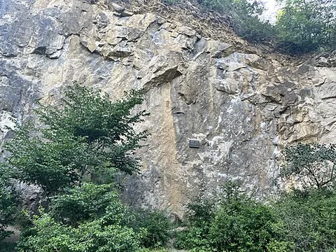 rock face: an exposed, roughly vertical expanse of rock
