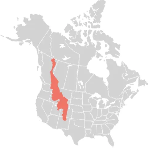 rocky mountains: a range of mountains running from Northern New Mexico to Alaska