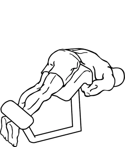 roman chair: an item of exercise equipment that supports the body during exercise of the lower back and...
