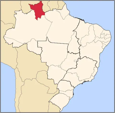 roraima: a large tepui located at the junction of Guyana, Venezuela, and Brazil