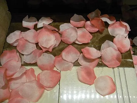 rose petal: the petal of a rose flower