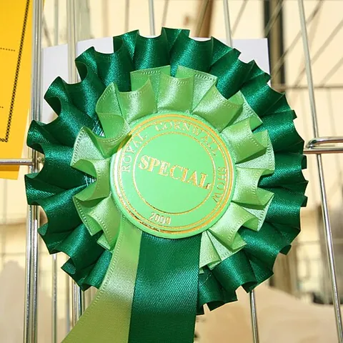rosette: an element or ornament resembling a rose, especially on a wall or other surface, mostly for...