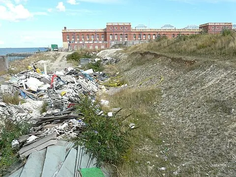 rubbish tip: synonym of garbage dump