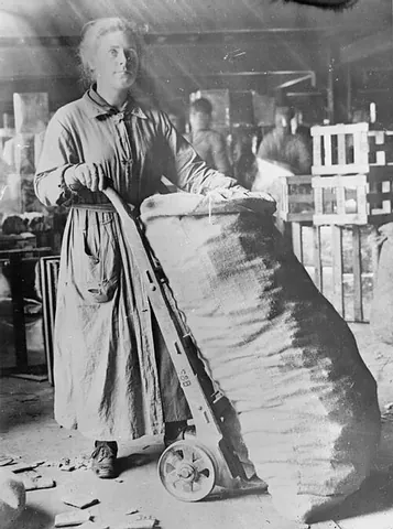 sack truck: a two-wheeled vehicle used for moving sacks and other heavy items