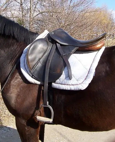 saddle: a seat for a rider, typically made of leather and raised in the front and rear, placed on the back...