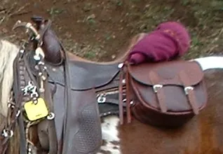 saddlebag: a covered pouch, usually one of a pair, laid across the back of a horse, donkey, or mule behind its...