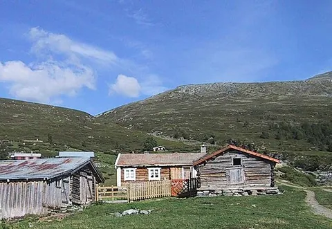 saeter: a Scandinavian mountainside meadow used during the summer for grazing milking cows or goats