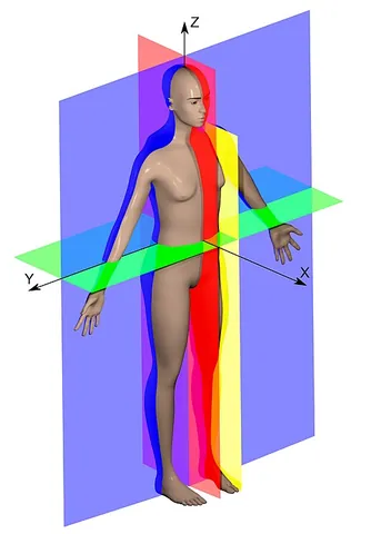 sagittal plane: any imaginary plane parallel to median plane