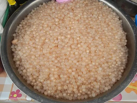 sago: a powdered starch obtained from certain palms (Metroxylon spp., esp. Metroxylon sagu), used as a...