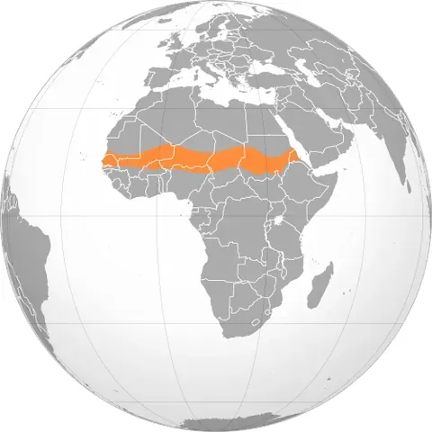sahel: a region of Africa, between the Sahara to the north and a more humid zone (Sudan) to the south