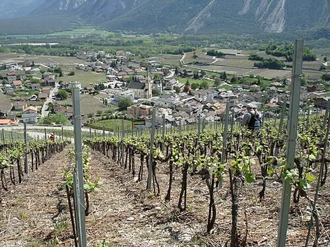 salgesch: a municipality in Leuk district, Valais canton, Switzerland