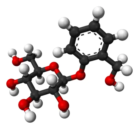 salicin: a glucoside derivative of salicylic acid; the active principle of willow bark, once used medicinally