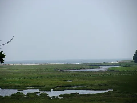 salt marsh: a marsh of saline water, found in the intertidal zone between land and sea, characterized by...