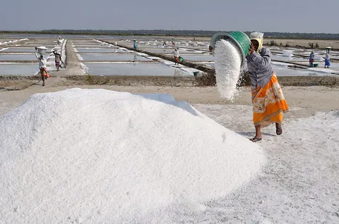 salt: a common substance, chemically consisting mainly of sodium chloride (NaCl), used extensively as a...