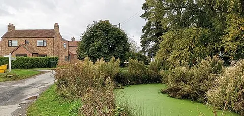 sandholme: a hamlet in Gilberdyke parish, East Riding of Yorkshire, England (OS grid ref SE8230)