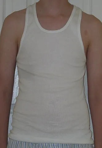 sando: sandwich