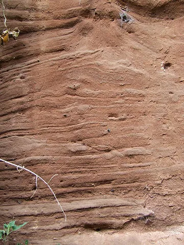 sandstone: a sedimentary rock produced by the consolidation and compaction of sand, cemented with clay etc