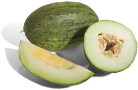 santa claus melon: a variety of melon, Cucumis melo, with a sweet, pale green to white flesh and an easily...