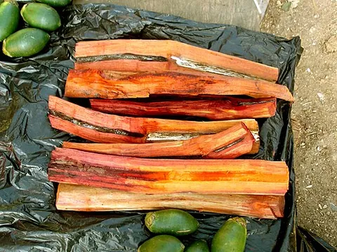 sappanwood: wood of Biancaea sappan (syn. Caesalpinia sappan), a flowering timber tree of the legume family...
