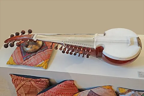 sarod: a fretless string instrument used mainly in Indian classical music