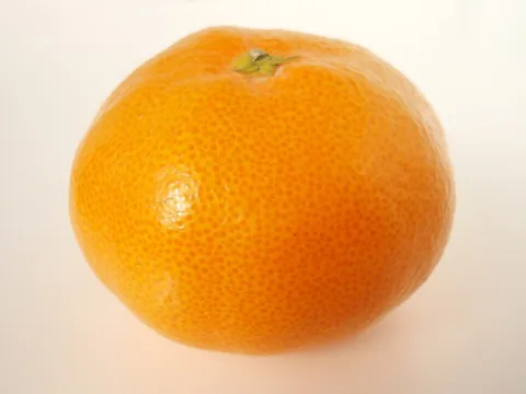 satsuma: a seedless and easy-peeling cultivar of mandarin orange of Japanese origin; Citrus unshiu