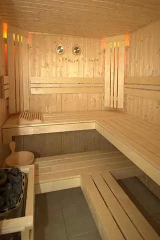 sauna water: water for producing steam for a sauna by throwing small amounts of it on the sauna stove