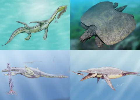 sauropterygian: a reptile of the extinct superorder Sauropterygia