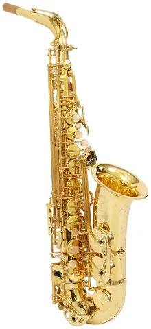 saxophone: a single-reed instrument musical instrument of the woodwind family, usually made of brass and with...